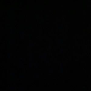 Meet your Posher, Moona